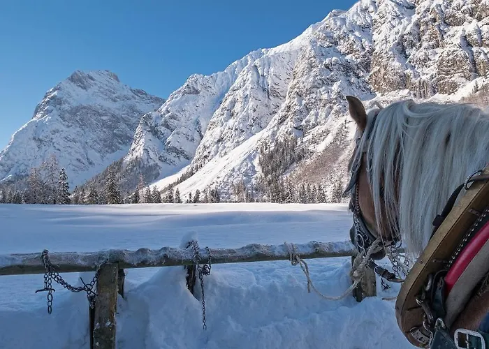 Vierklee - Kinderfreundliche Am Achensee (adults Only) Apartamento *