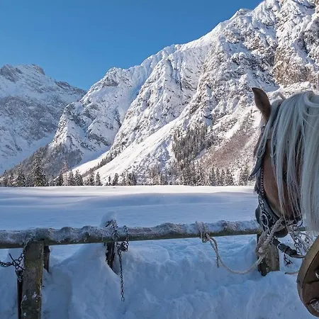 Vierklee - Kinderfreundliche Am Achensee (adults Only) Apartament *